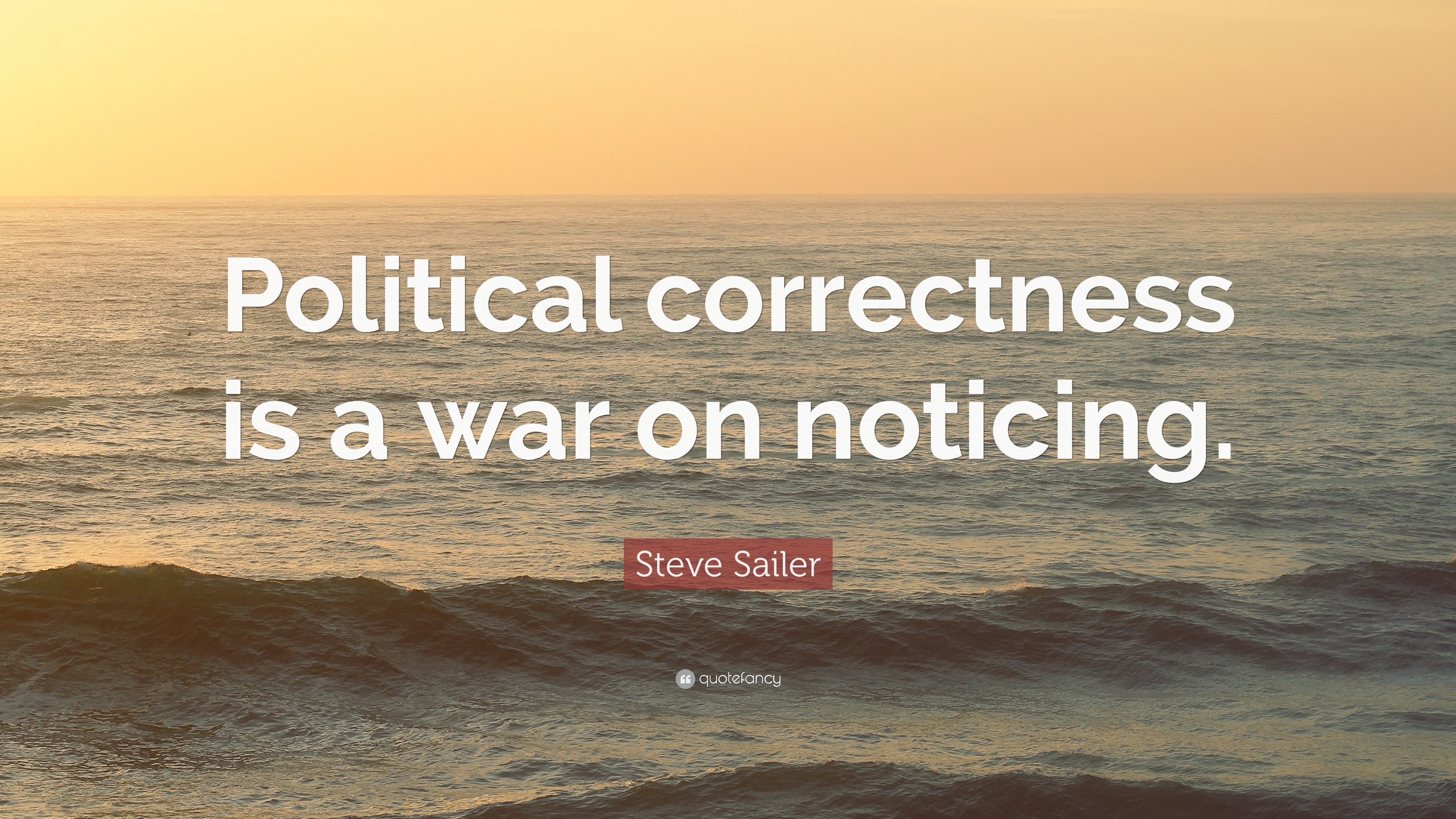 1761741-Steve-Sailer-Quote-Political-correctness-is-a-war-on-noticing.jpg