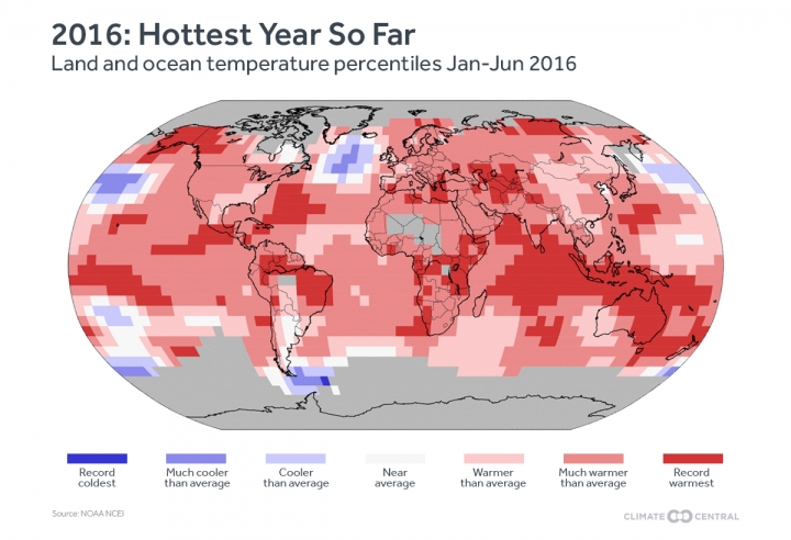 2016GlobalAdjusted_Map_Jan-Jun_720_492_s_c1_c_c.jpg