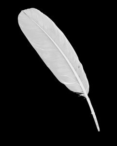 20130610-white-feather.jpg