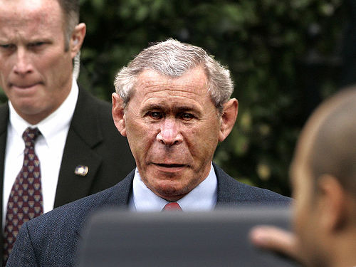 bush-chimp1.jpg