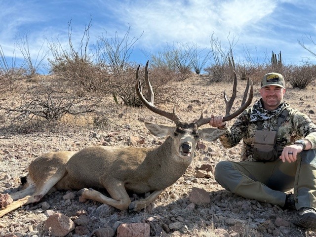 Mule-deer.jpg