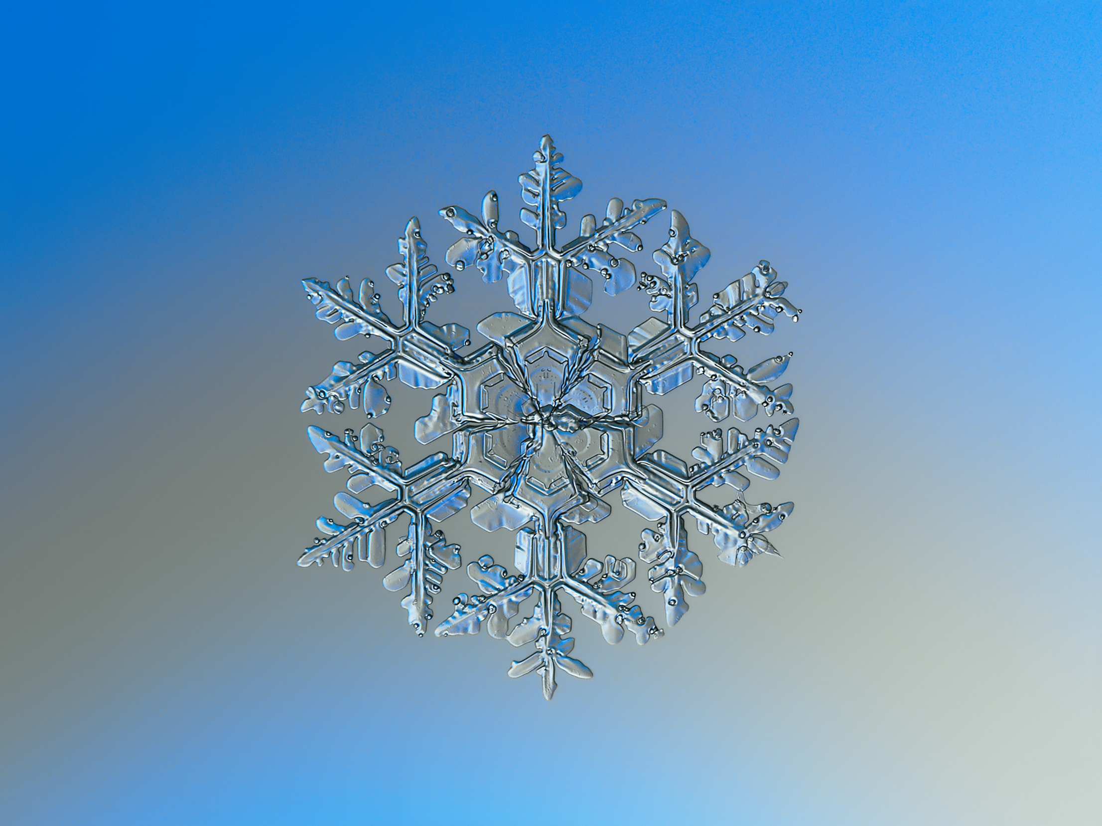 Snowflake_macro_photography_1.jpg