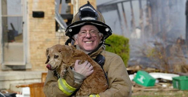 bernie-sanders-saves-dog.png