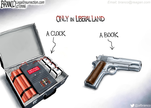 Gun-Book-600-LI.jpg