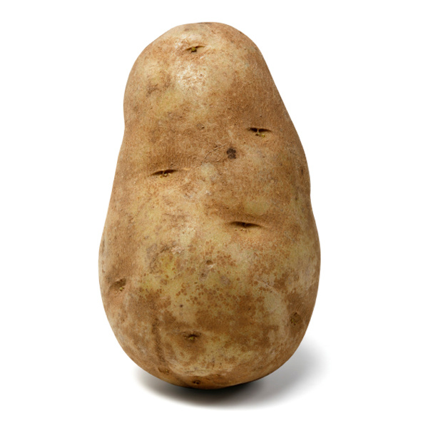 potato-013.jpg