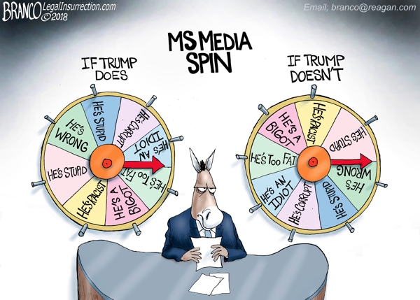 Media-Spin-600-LI.jpg