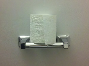 toilet-paper-roll-sitting.jpg