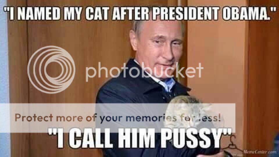 PutinCat.jpg