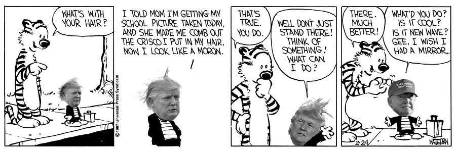 Donald-and-Hobbes-hair.jpg