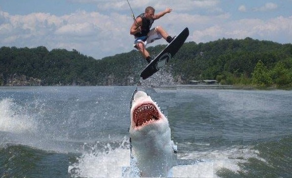 jumping-the-shark.jpg