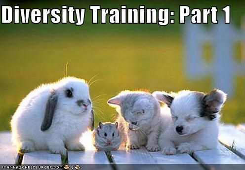diversity-training-part-1