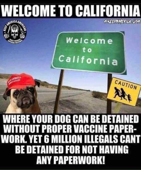 welcome-to-california-dog-can-be-detained-without-vaccine-info-but-6-million-illegals-cant.jpg