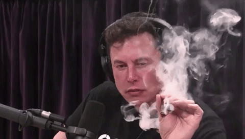 Elon-Musk.gif